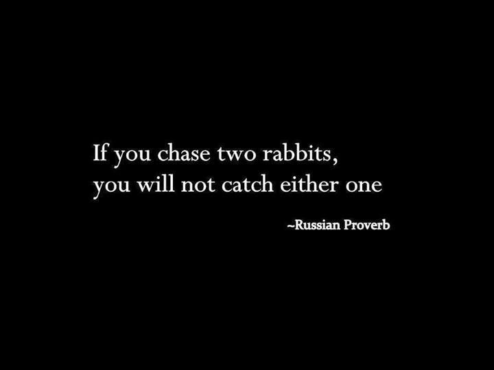 Rabbit Proverb
